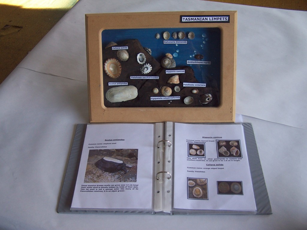 Science Collection (3)